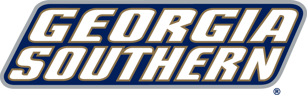 Georgia Southern Eagles 2004-Pres Wordmark Logo v4 diy iron on heat transfer